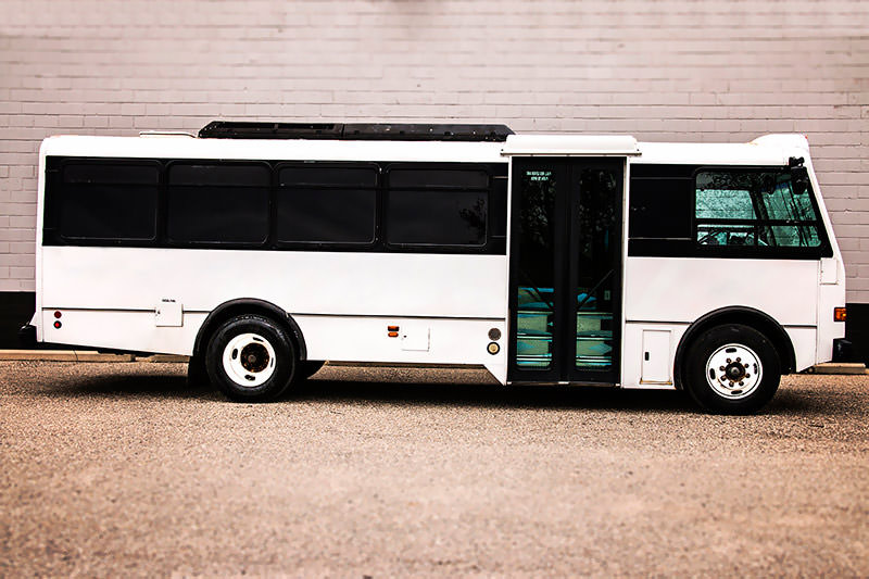 30-passenger party bus rentals