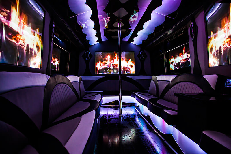 30-passenger party bus rentals
